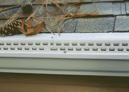 Gutter Protection