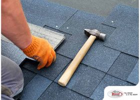 Never Neglect Your Roof: Importance of Maintenance