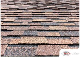 5 Asphalt Roof Maintenance Mistakes to Avoid