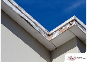 Fascia Rot: What Causes It and How Do You Deal With It?
