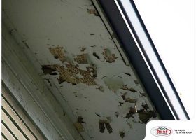 Common Soffit Issues You Should Know