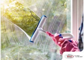 How Do You Keep Your Windows Clean During Fall?