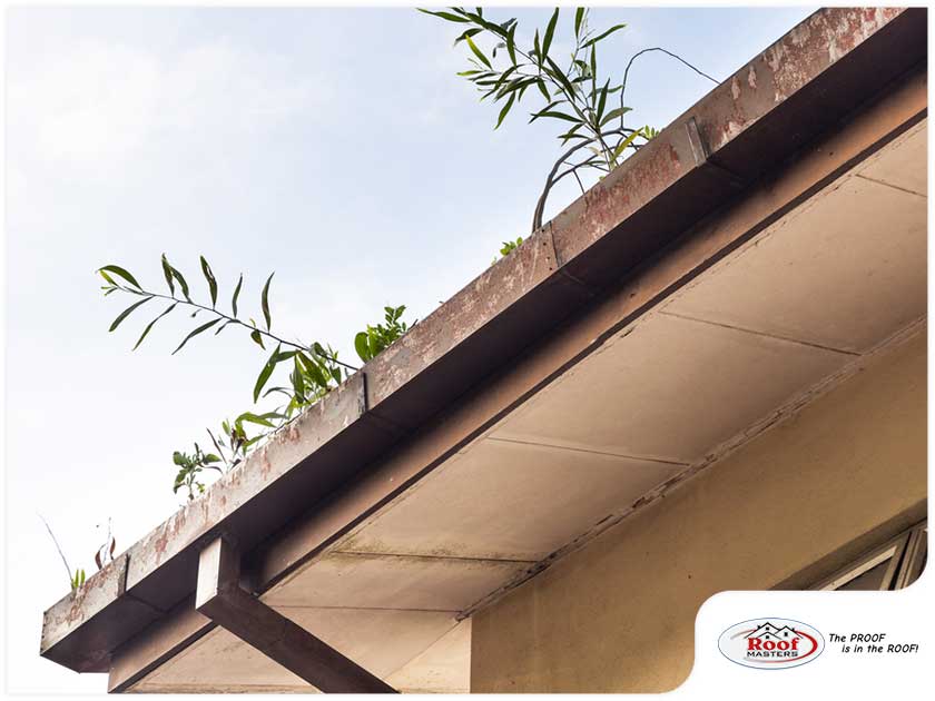 Can You Still Fix Rusted Gutters?
