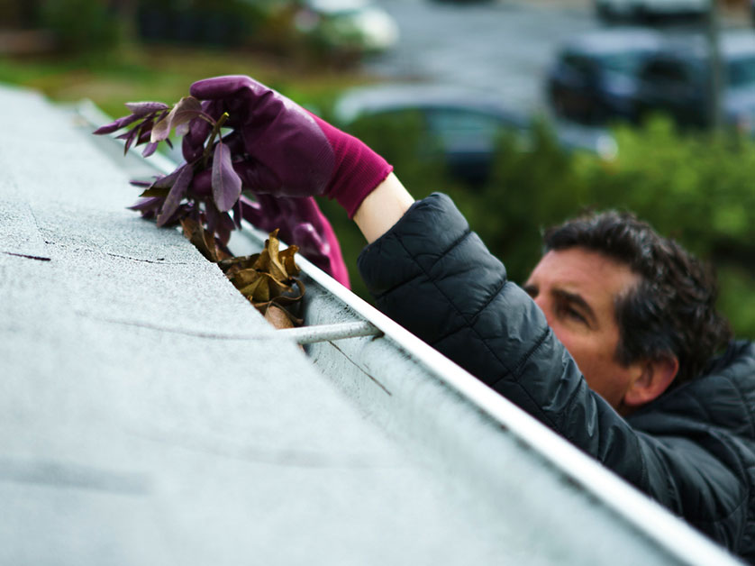 Essential Gutter Care Tips for Summer