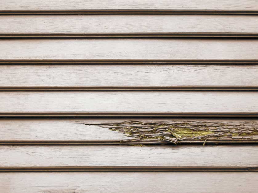 Factors That Can Affect Siding Lifespan